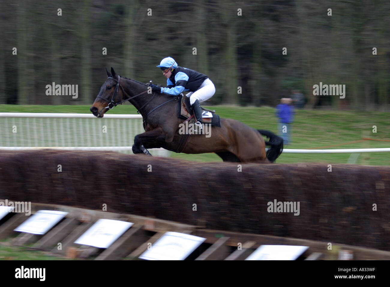 Point Ot Point Racing Point to point pony racing hi-res stock photography and images - Alamy