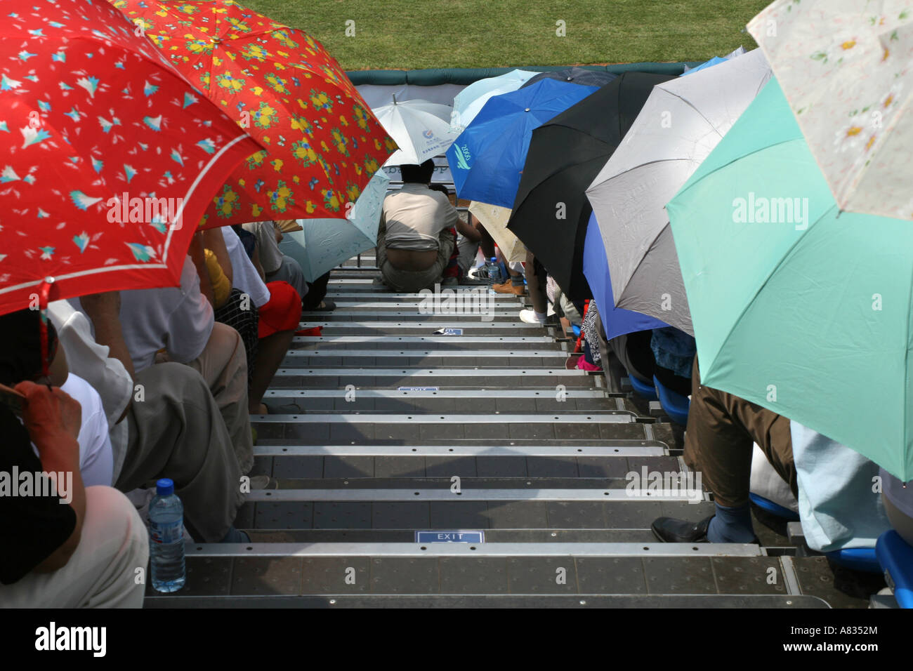 Audience in a baseball stadium in Beijing Stock Photo - Alamy