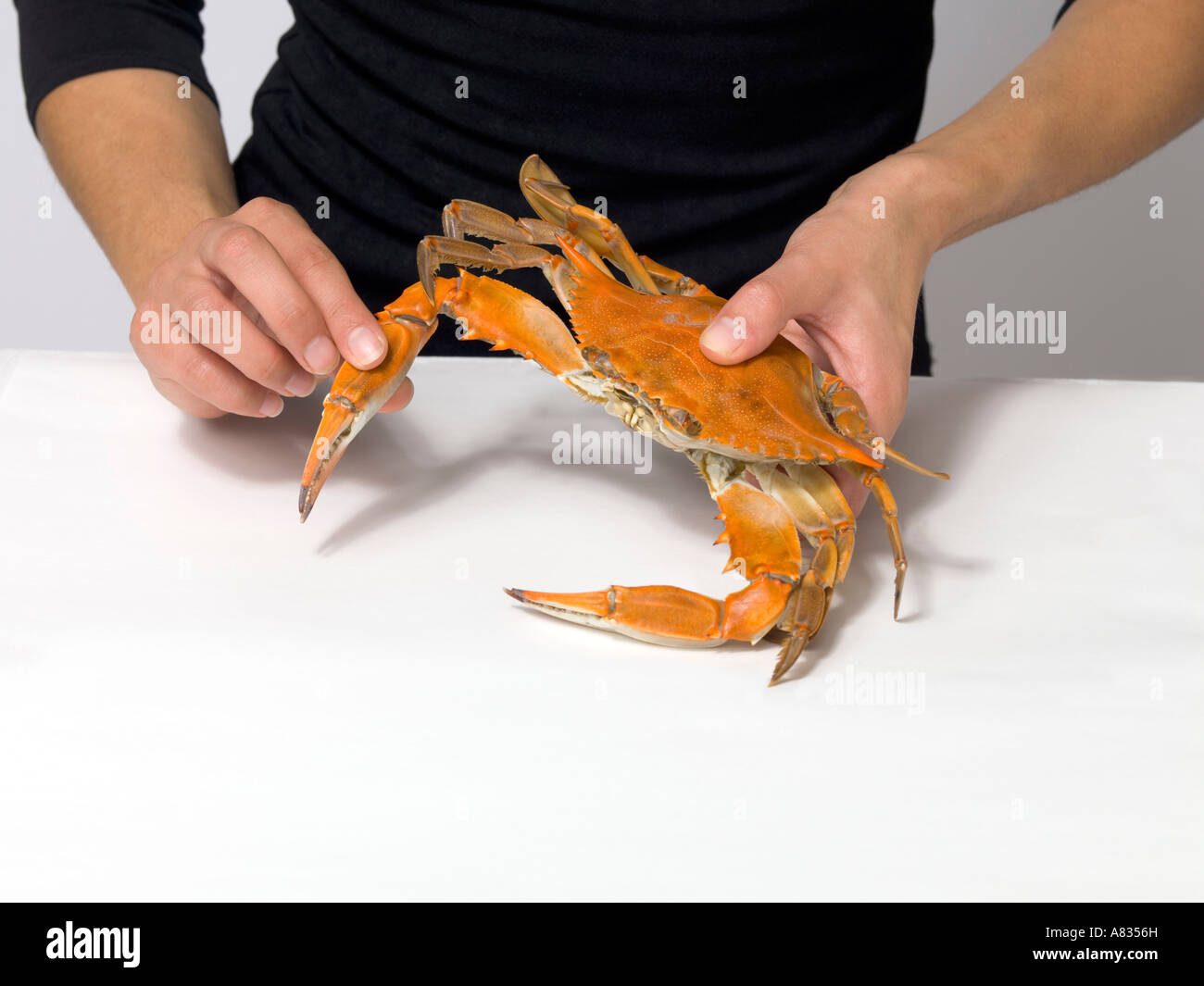 One of a series of photos demonstrating proper way to eat steamed