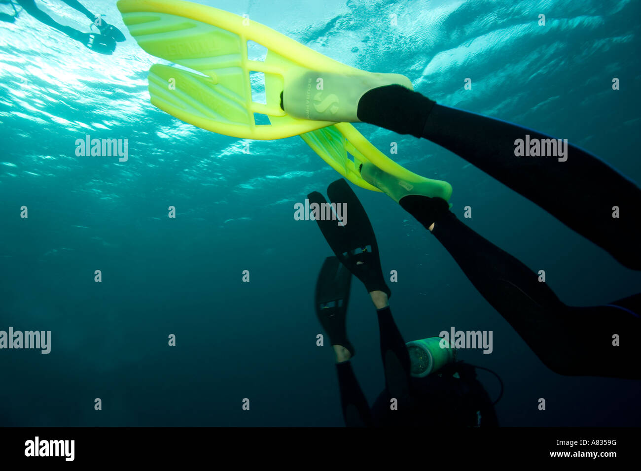 Woman diver with SCUBAPRO Twin Jet fins Chaunkanaub divesite Cozumel