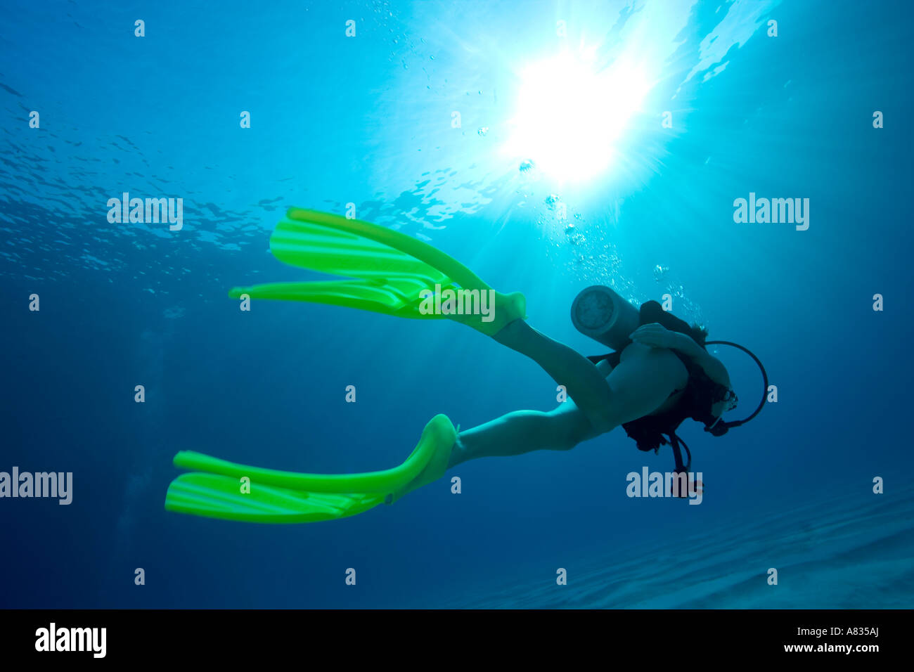Woman diver with SCUBAPRO Twin Jet fins Paradise Reef divesite Cozumel Mexico Stock Photo