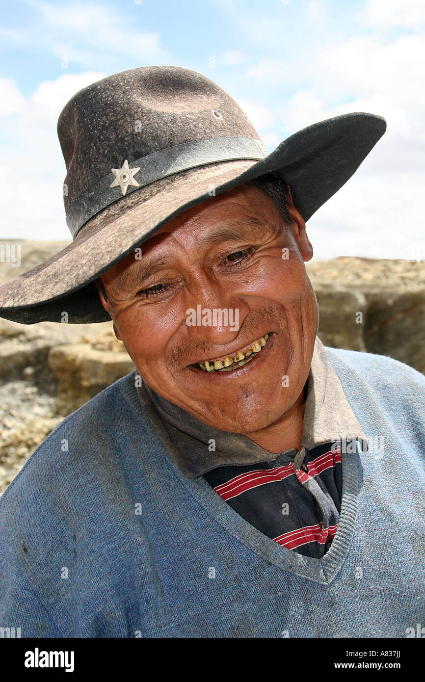 Coca leaves potosi potosi bolivia hires stock photography and images