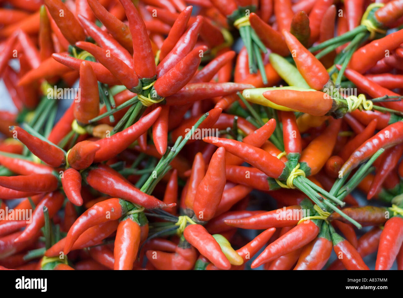 Red hot  Thai Peppers Stock Photo
