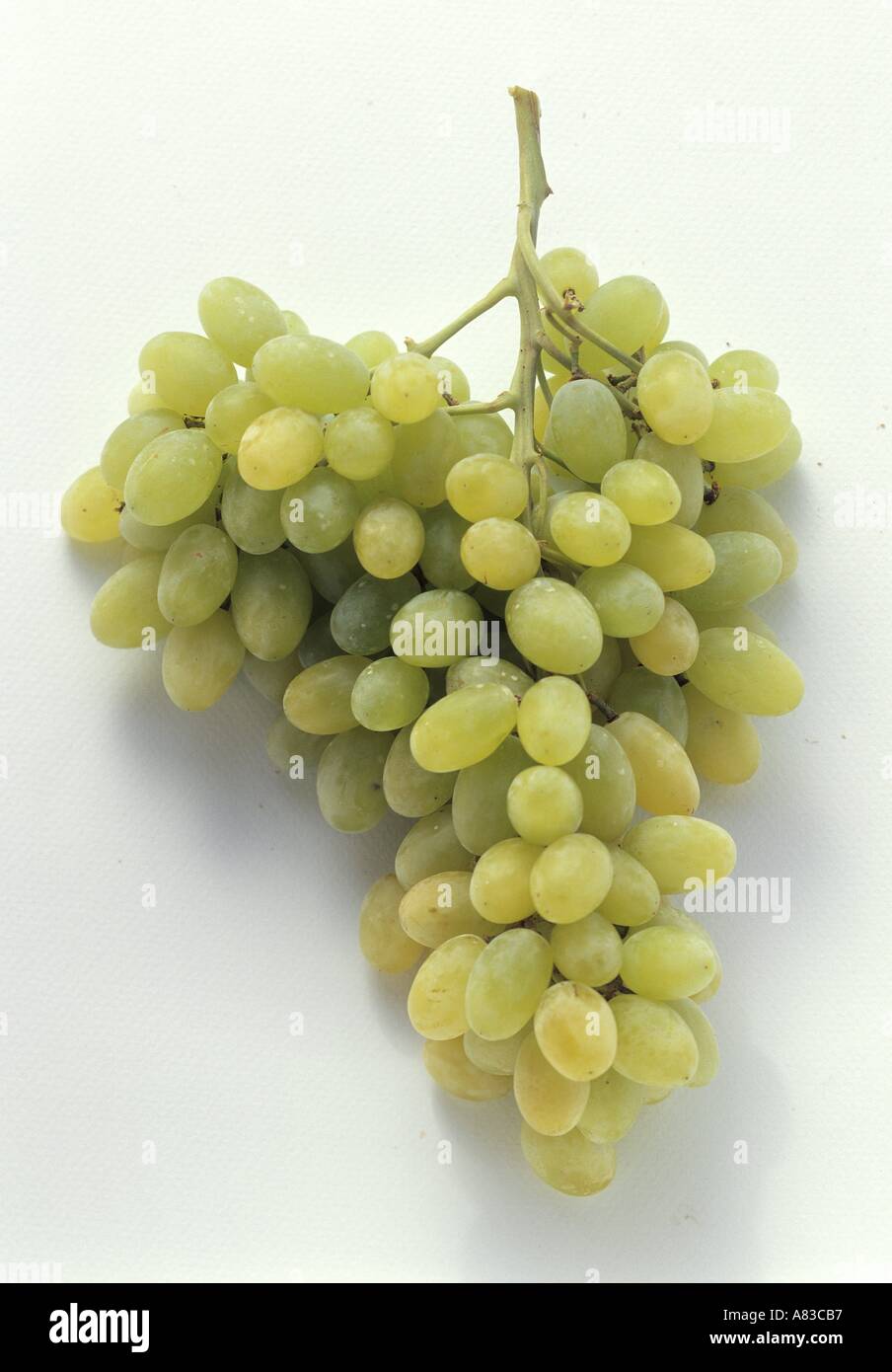 A Bunch of Green Grapes Stock Photo - Alamy