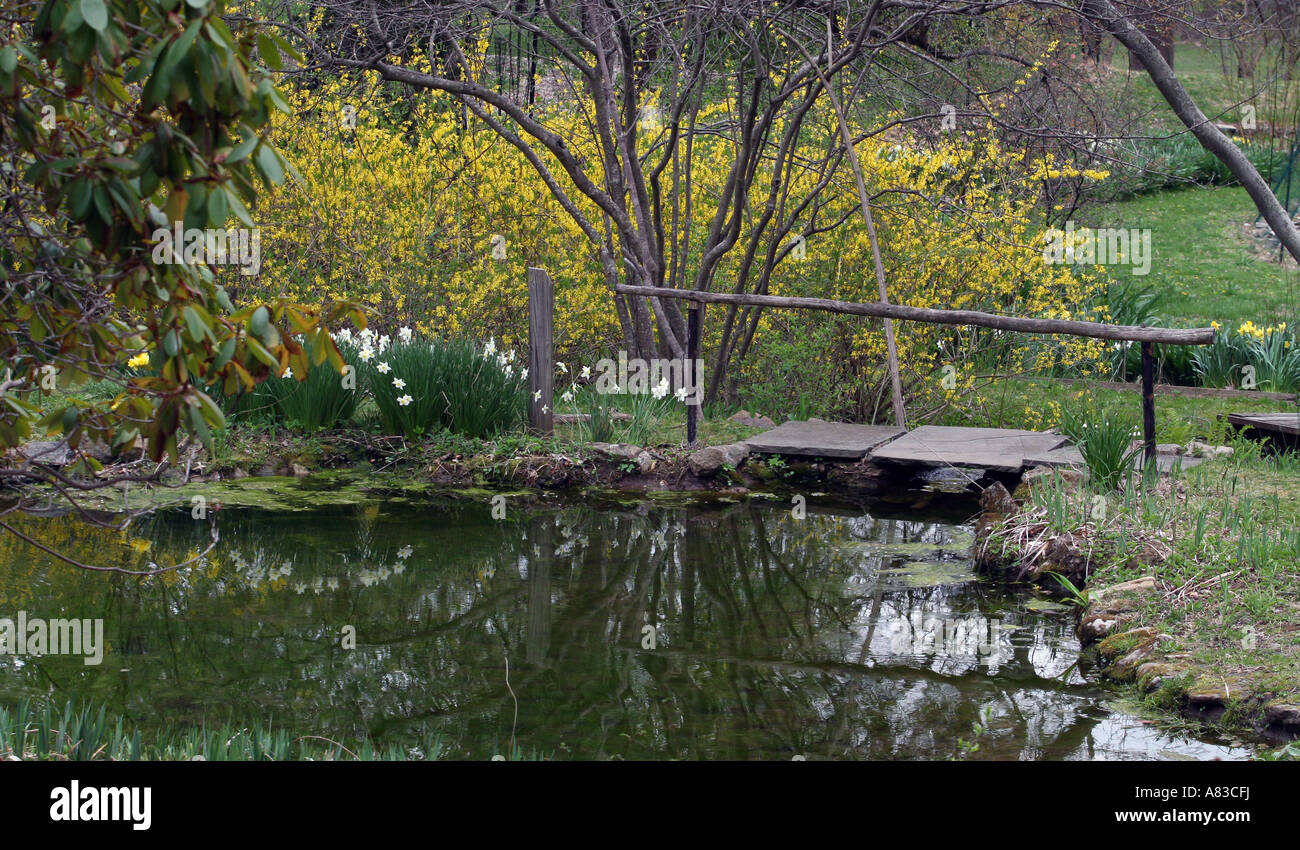 A garden foot bridge over  a pond. Stock Photo