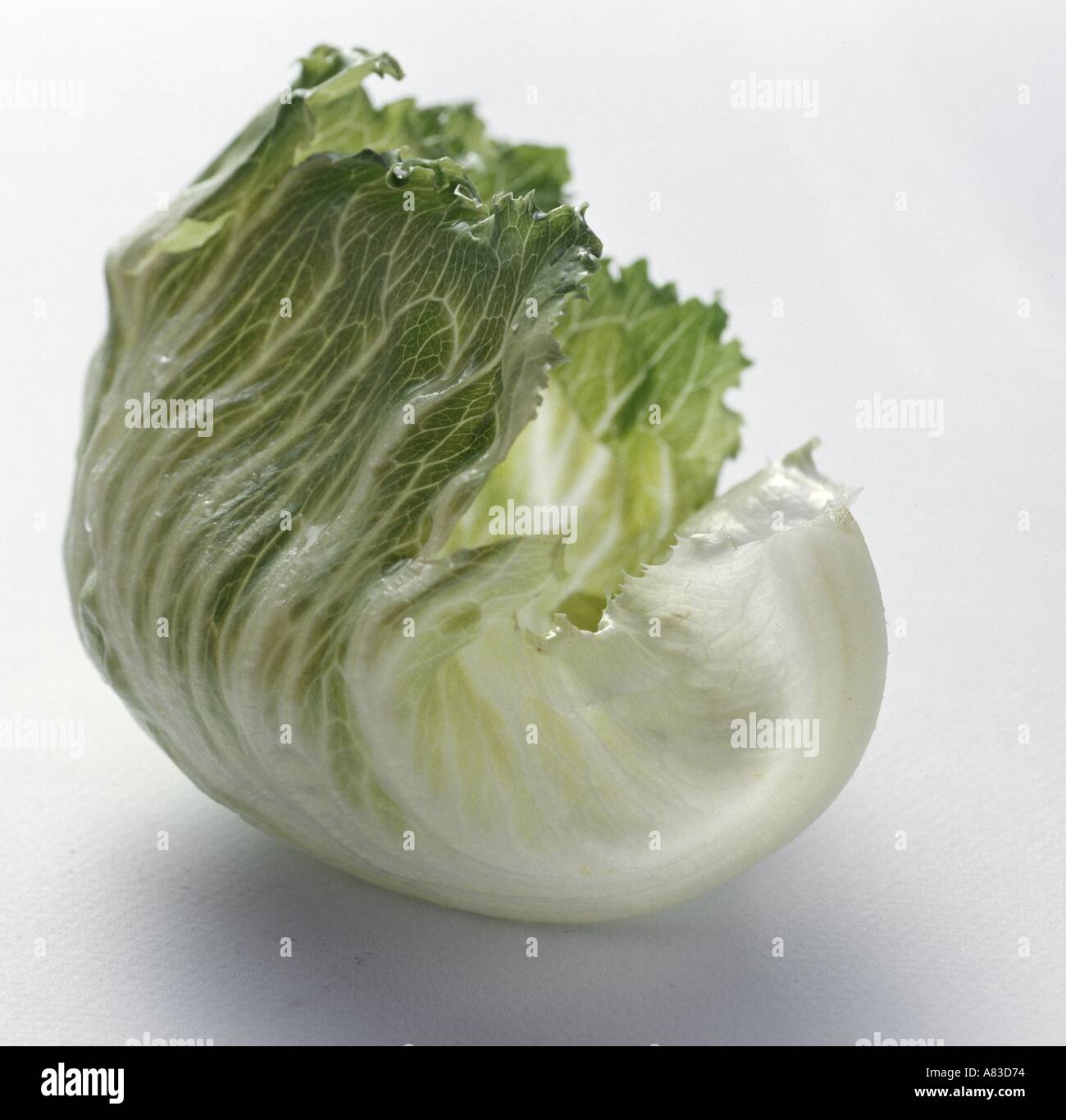 Iceberg Lettuce Leaf Stock Photo Alamy