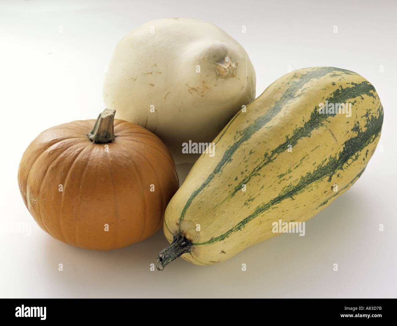 A Blue Hubbard Squash a Delicata Squash and a Pumpkin Stock Photo