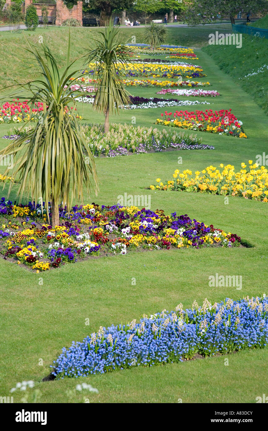 Grass displays hi-res stock photography and images - Alamy
