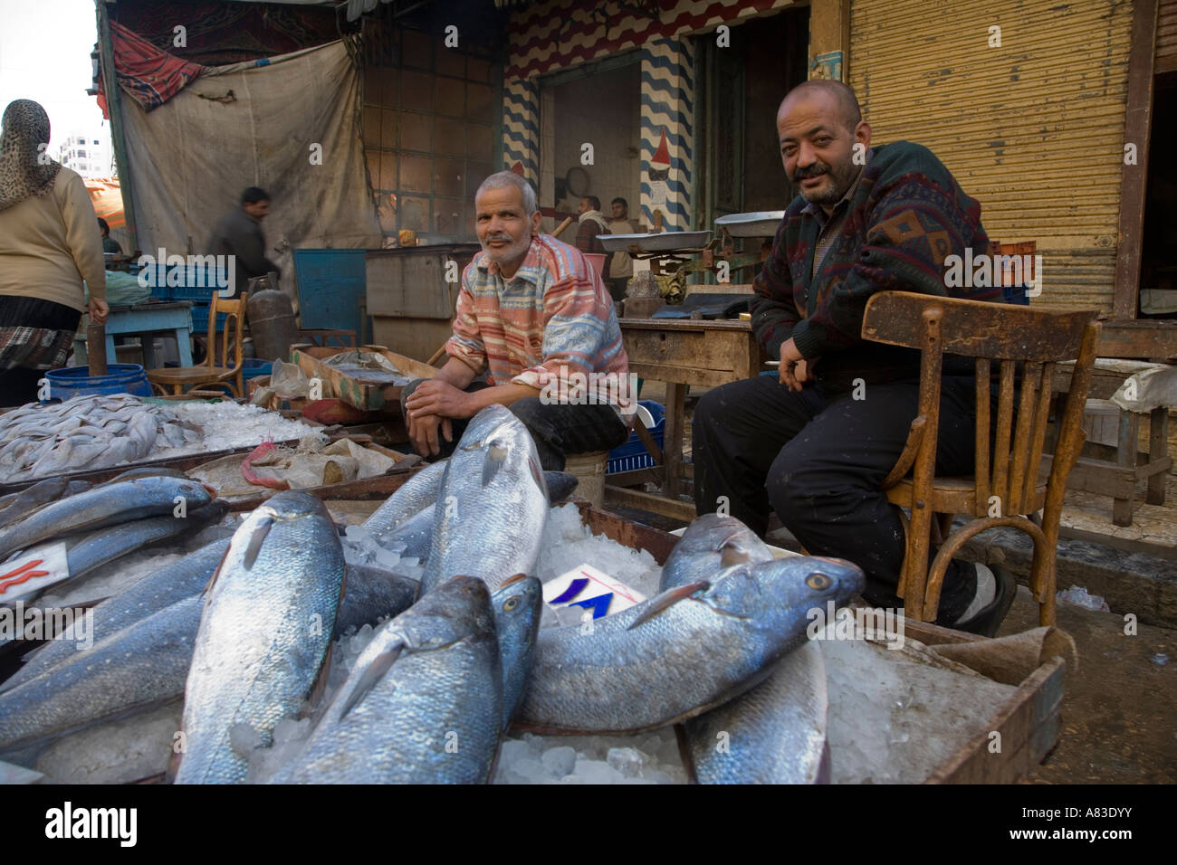 Fish market alexandria egypt hires stock photography and images Alamy
