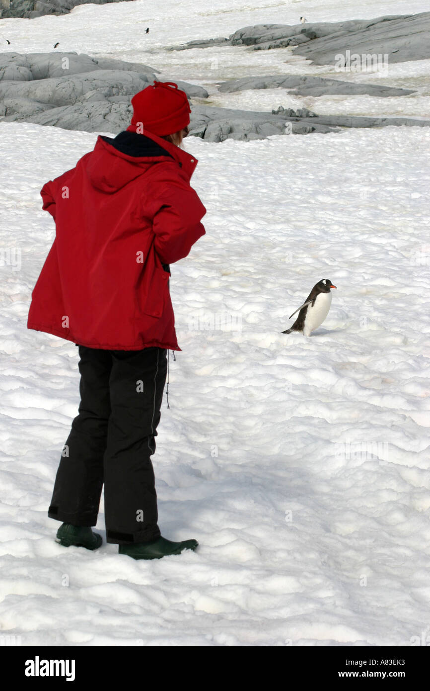 photograph illustrating part of the Antarctic code of conduct for visitors and cruise passengers. Stock Photo