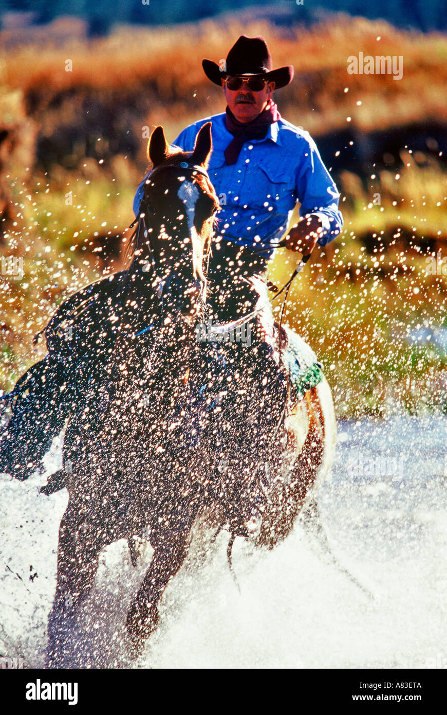 Marlboro man riding a horse hi-res stock photography and images - Alamy