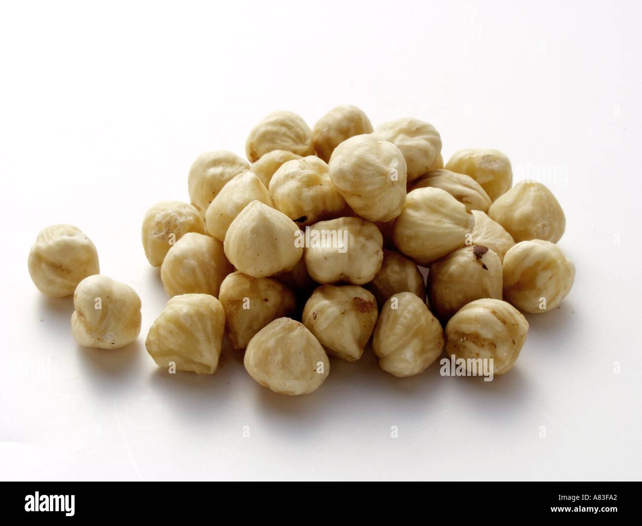 Hazelnuts with Skin Removed Stock Photo Alamy