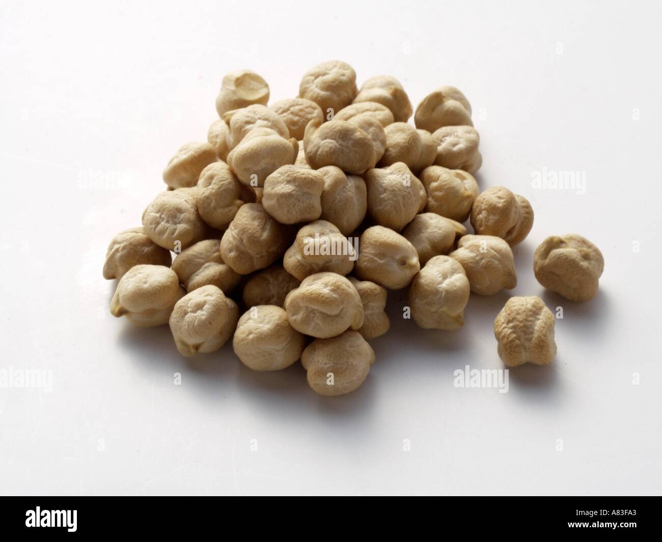 Hazelnuts with Skin Removed Stock Photo Alamy