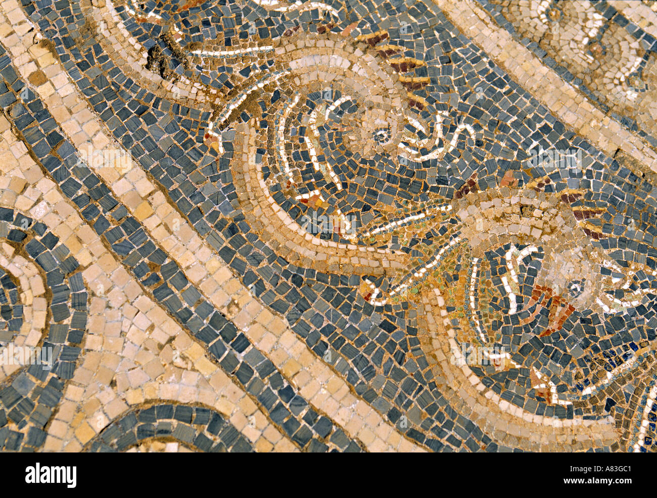 Greece Mosaic High Resolution Stock Photography and Images Alamy