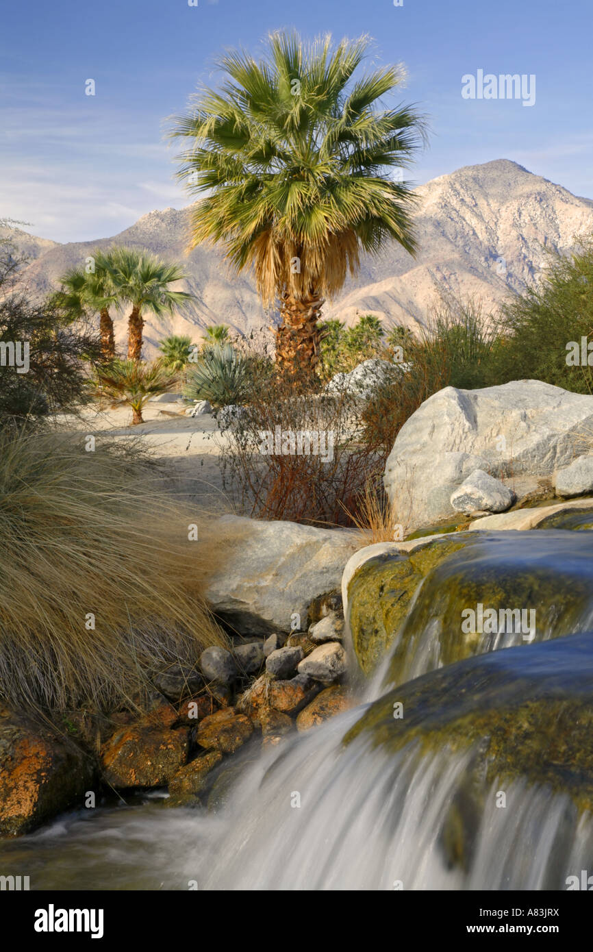 The Springs at Borrego Borrego Springs California Stock Photo Alamy