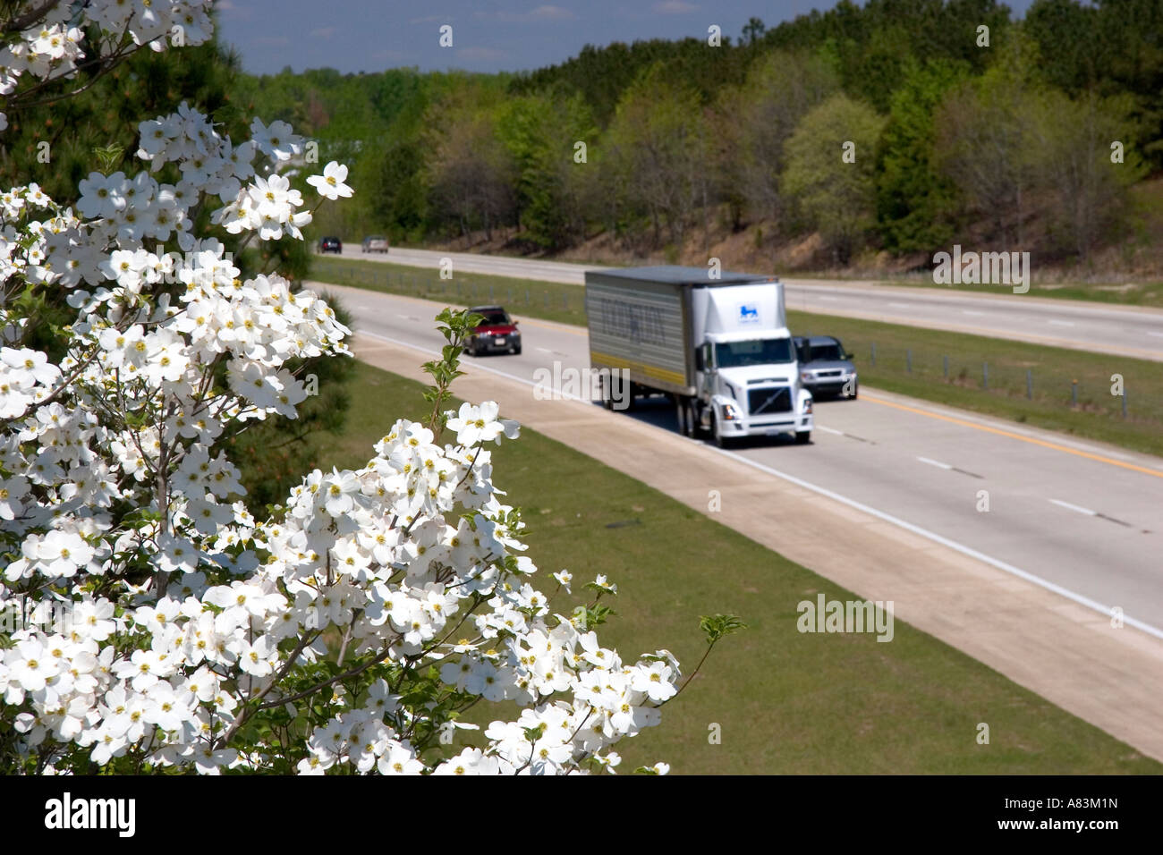 North carolina tree hi-res stock photography and images - Alamy