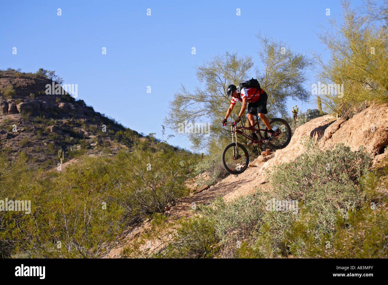 Mcdowell Mountain Regional Park Mountain Biking 2024 www.alhudapk
