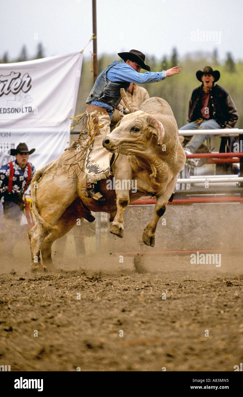 Cool whip bucking bull and rider Stock Photo - Alamy