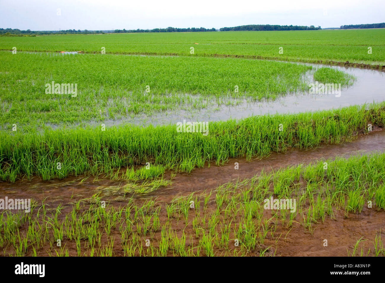Agriculture in arkansas hires stock photography and images Alamy