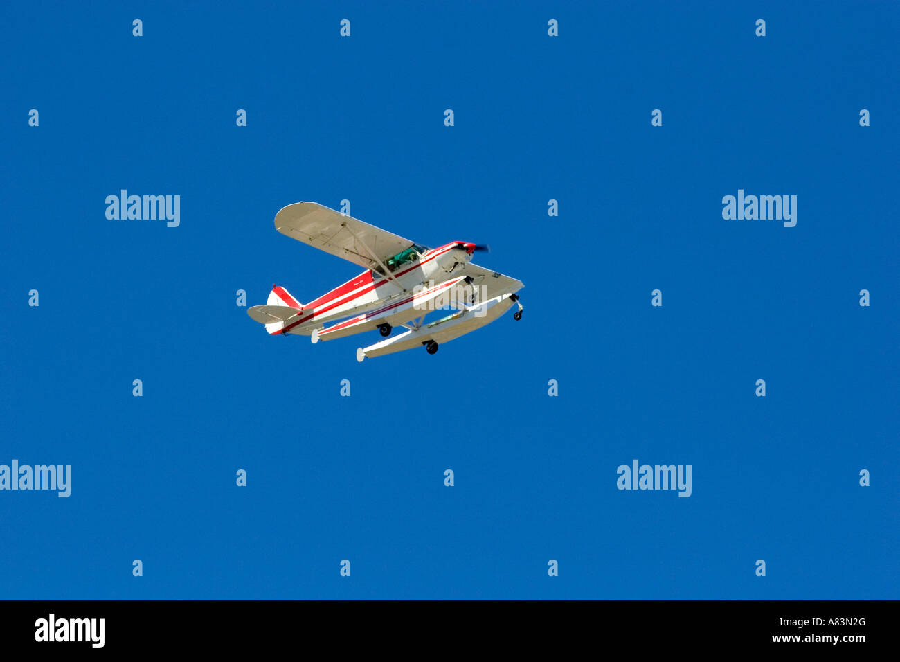 Piper Super Cub float plane in flight Stock Photo Alamy
