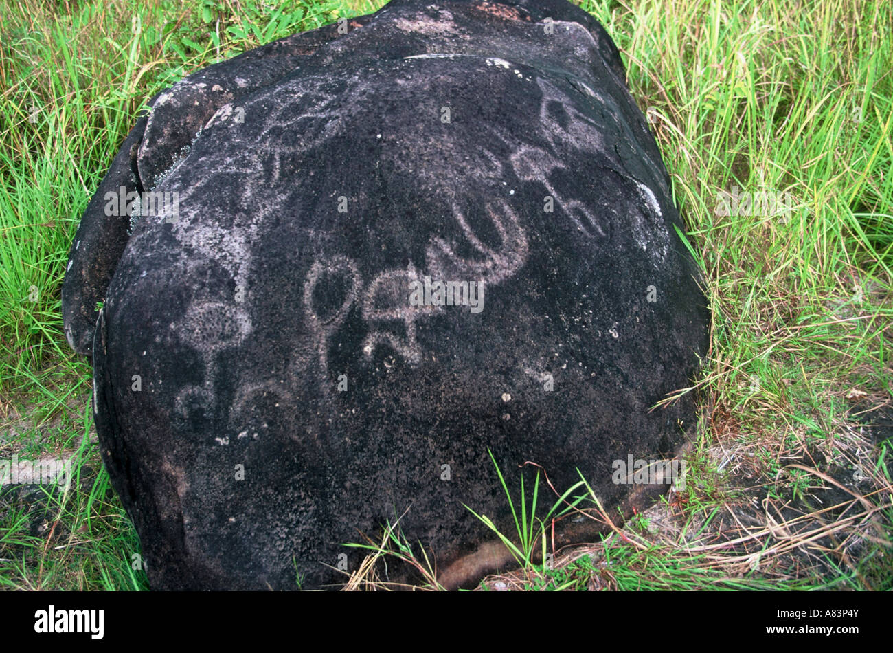 Rock Art, Gabon Stock Photo