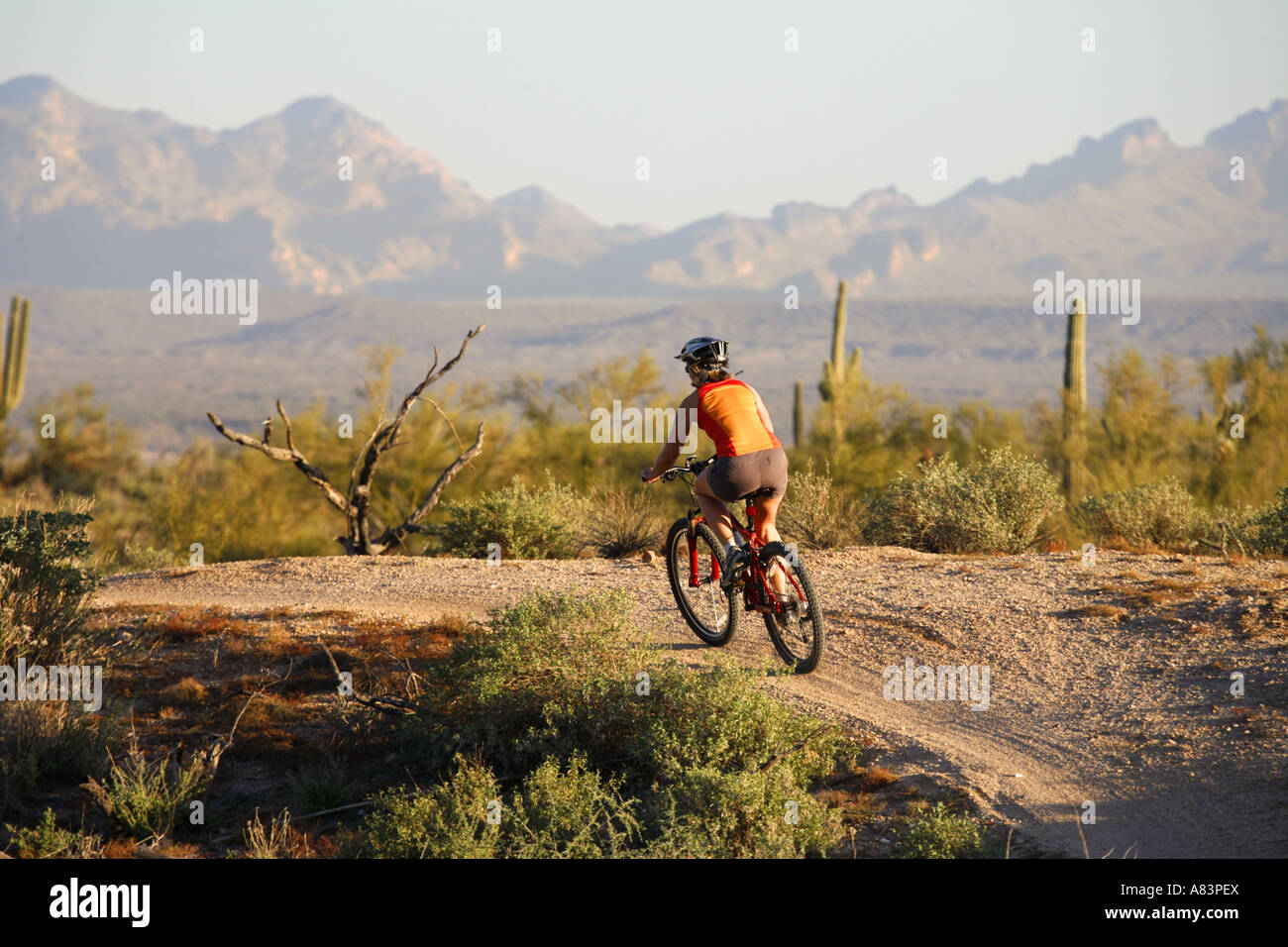 mcdowell mountain bike trails