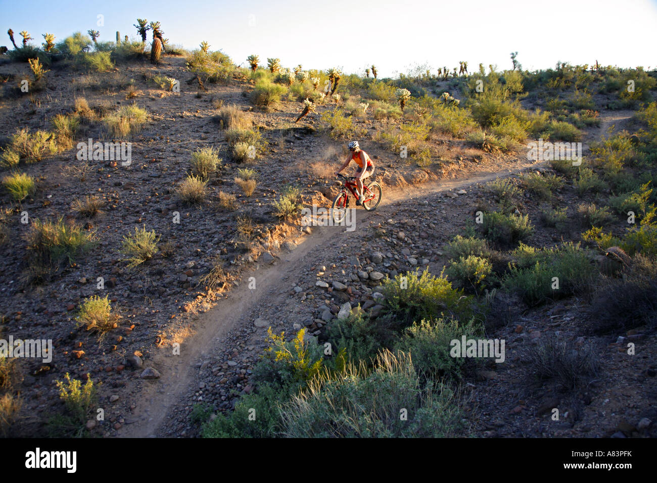 Snoran desert hires stock photography and images Alamy