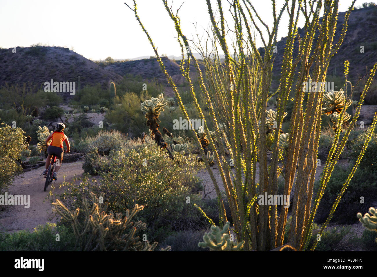 Competive cycling hires stock photography and images Alamy