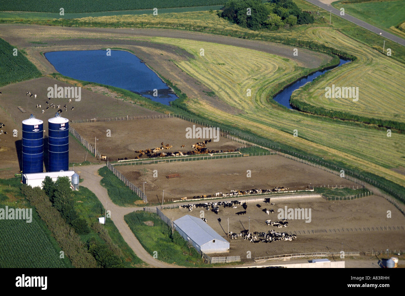 IOWA DAIRY FARM IOWA Stock Photo Alamy