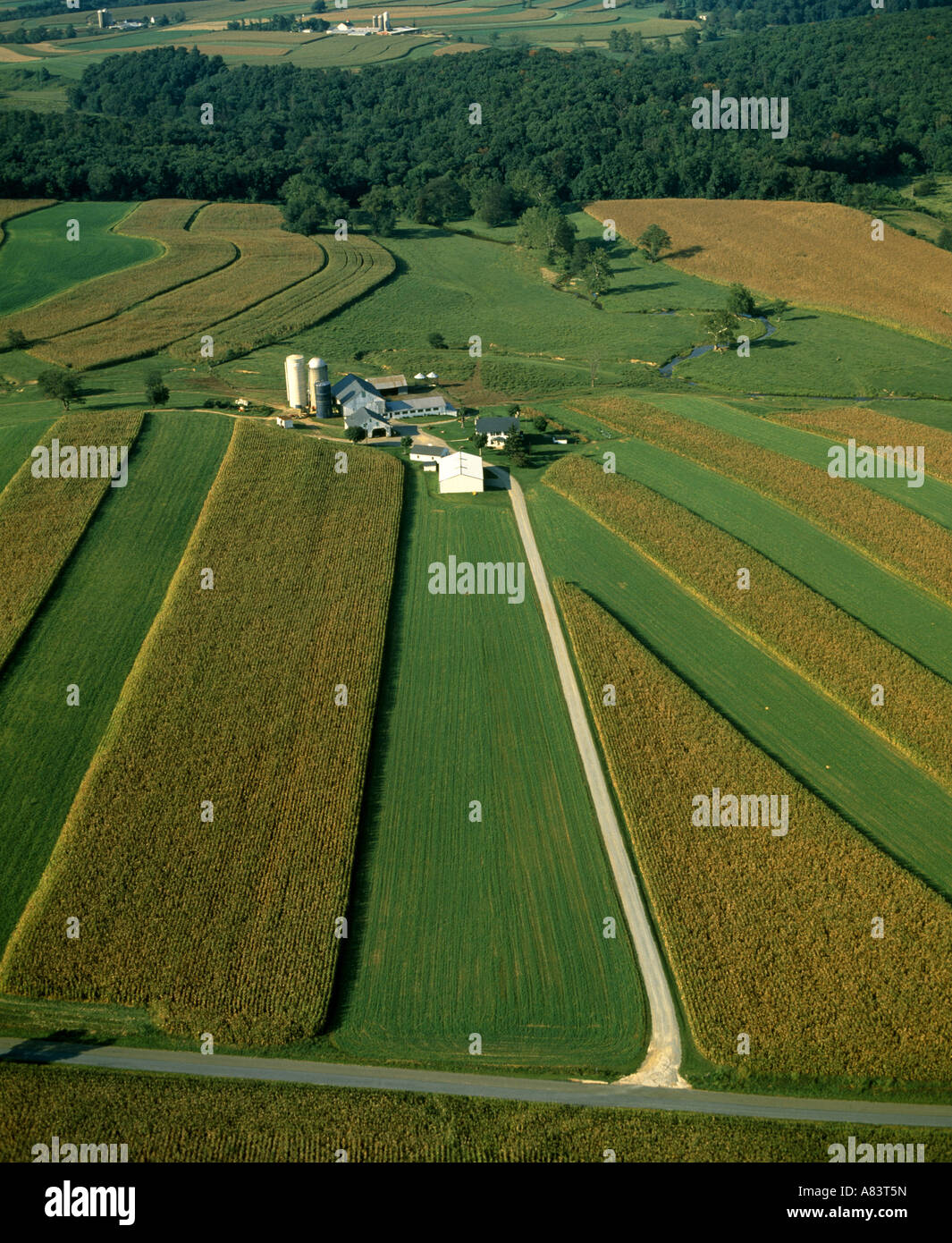 AERIAL OF DAIRY FARM PENNSYLVANIA Stock Photo - Alamy