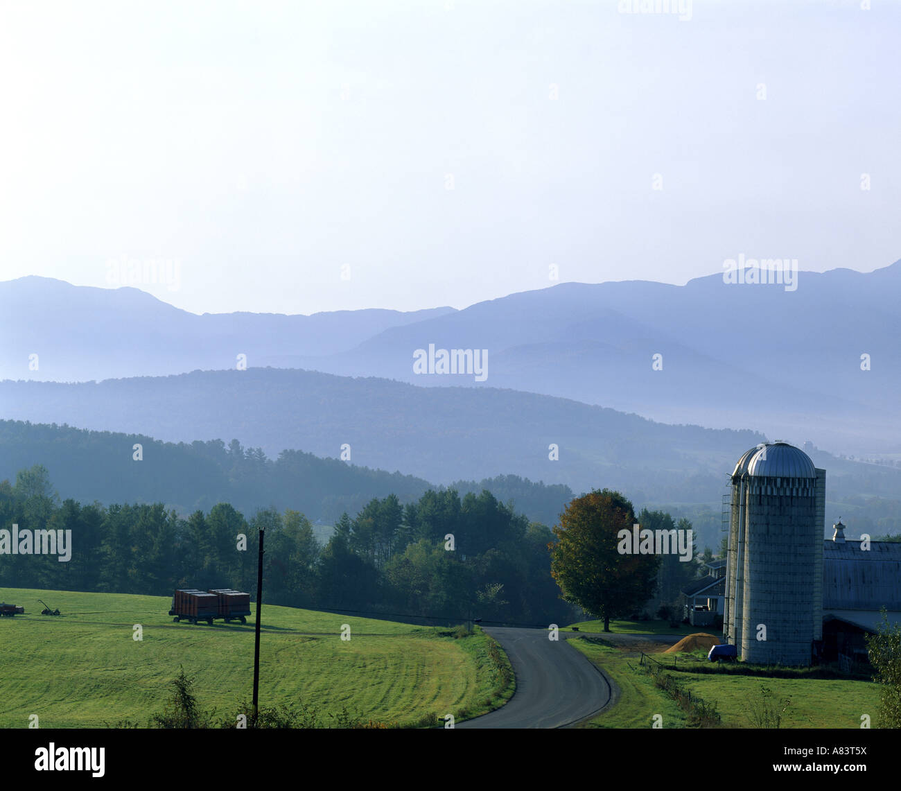 DAIRY FARM IN MORNING WITH MOUNTAINS IN BACKGROUND FRANKLIN COUNTY NEAR