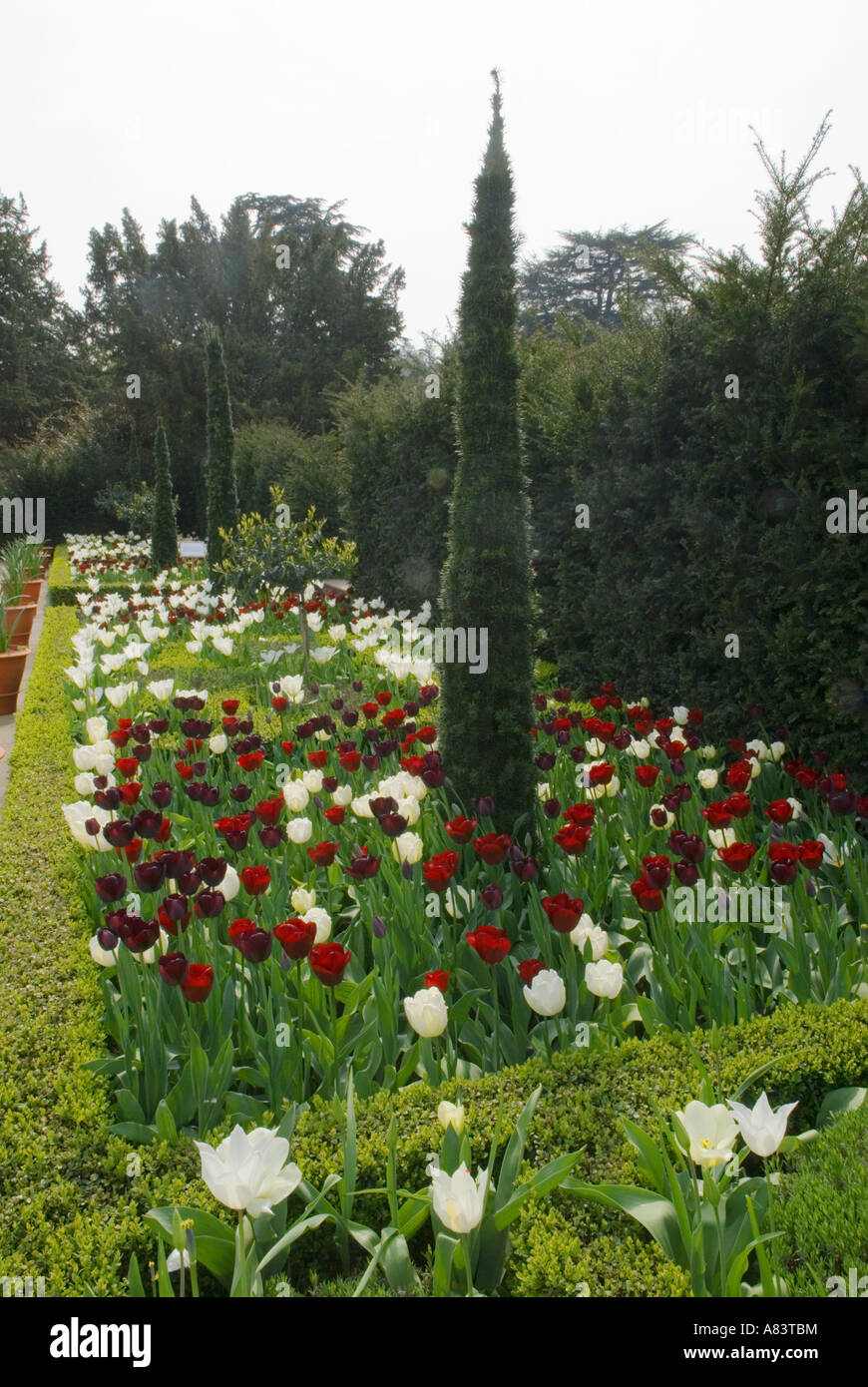 Hampton court garden herefordshire hires stock photography and images