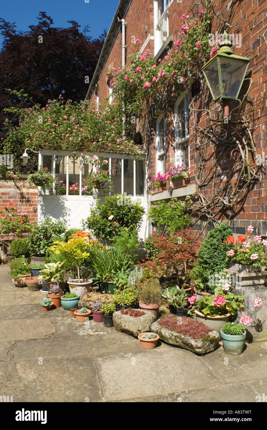 Victorian house (1884) with conservatory and pot plants North Yorkshire