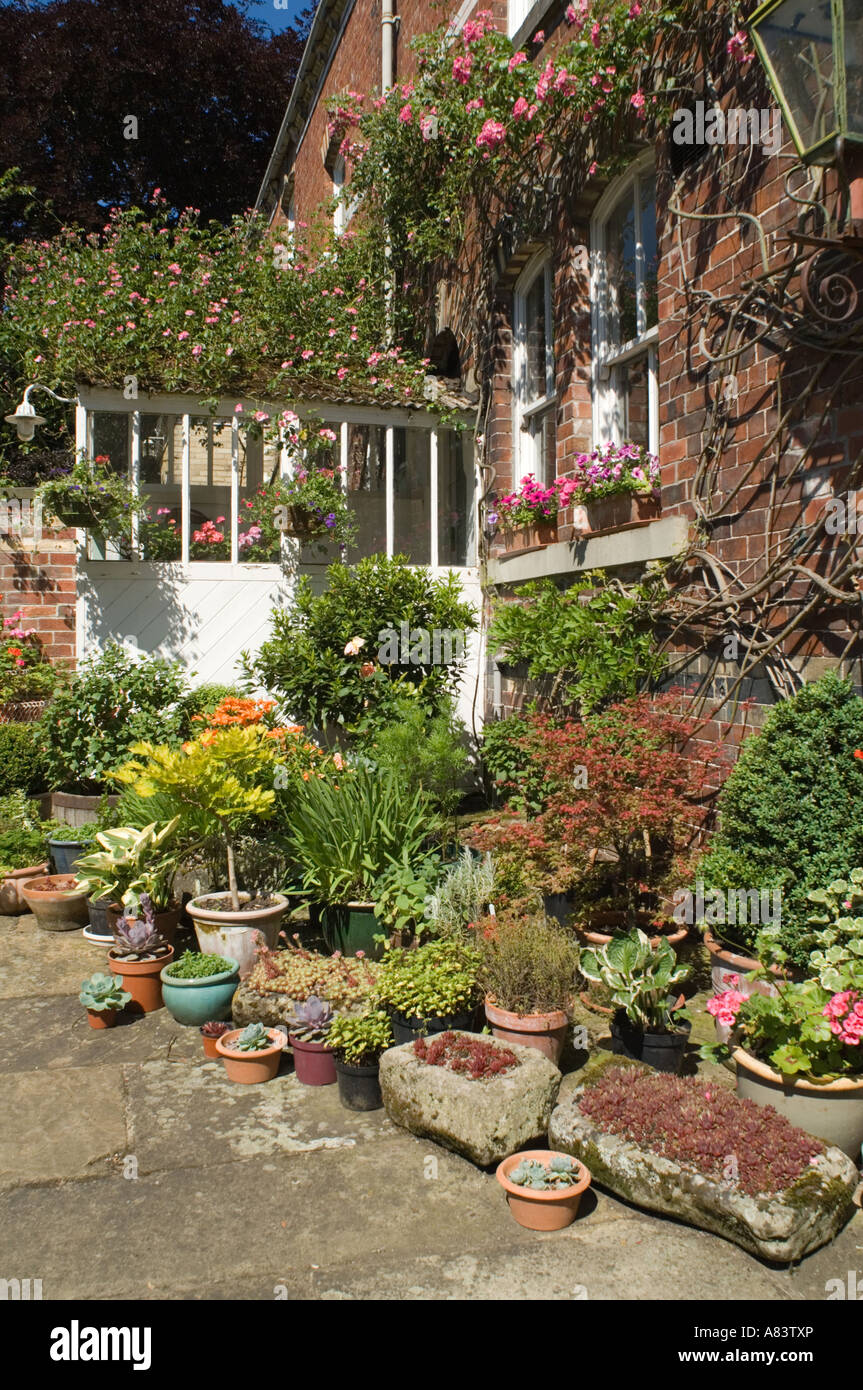 Victorian house (1884) with conservatory and pot plants North Yorkshire