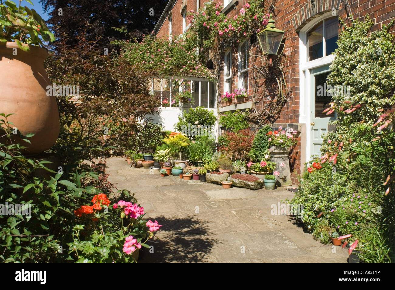 Victorian house 1884 with conservatory and pot plants North Yorkshire