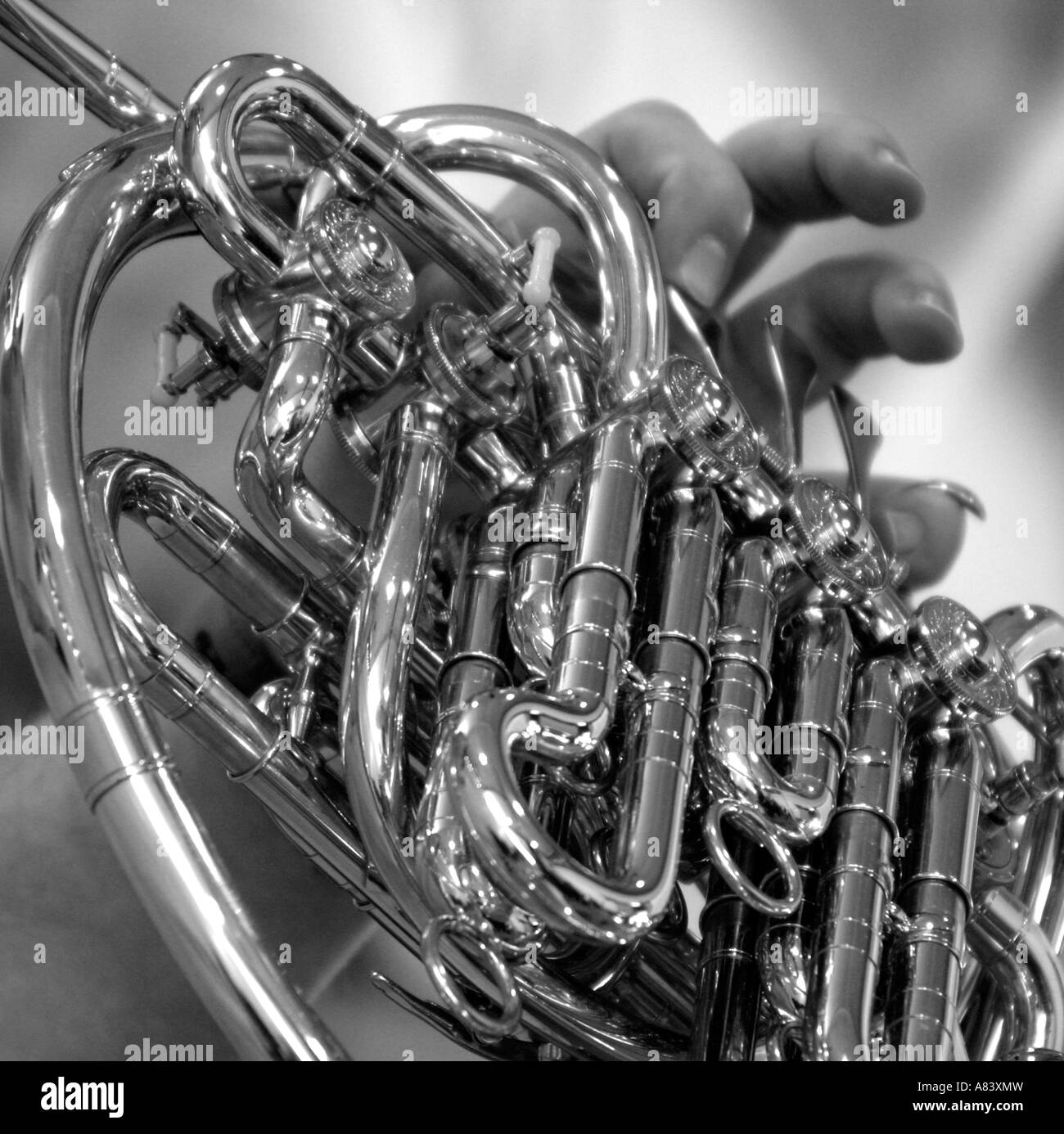 Horn musical instrument hi-res stock photography and images - Alamy