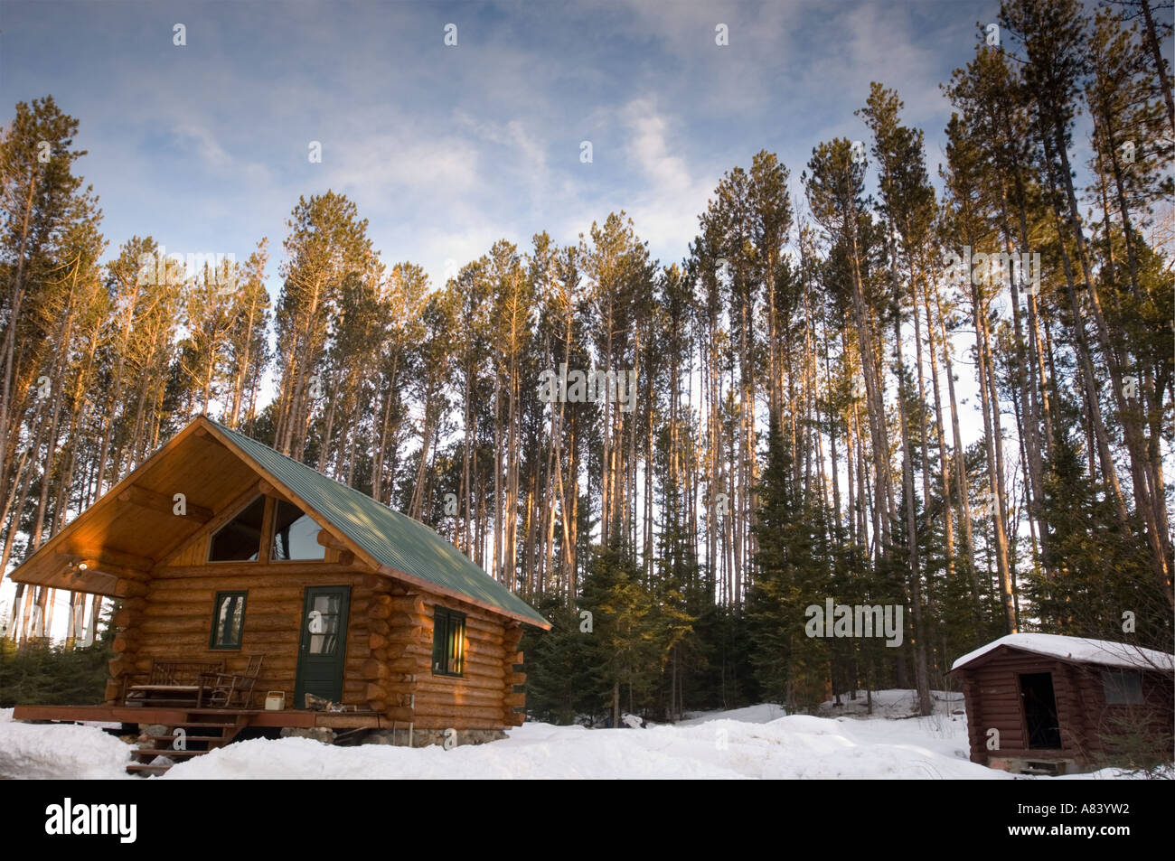 Log Cabin Sits In Red Pine Forest Stock Photo 6845393 Alamy