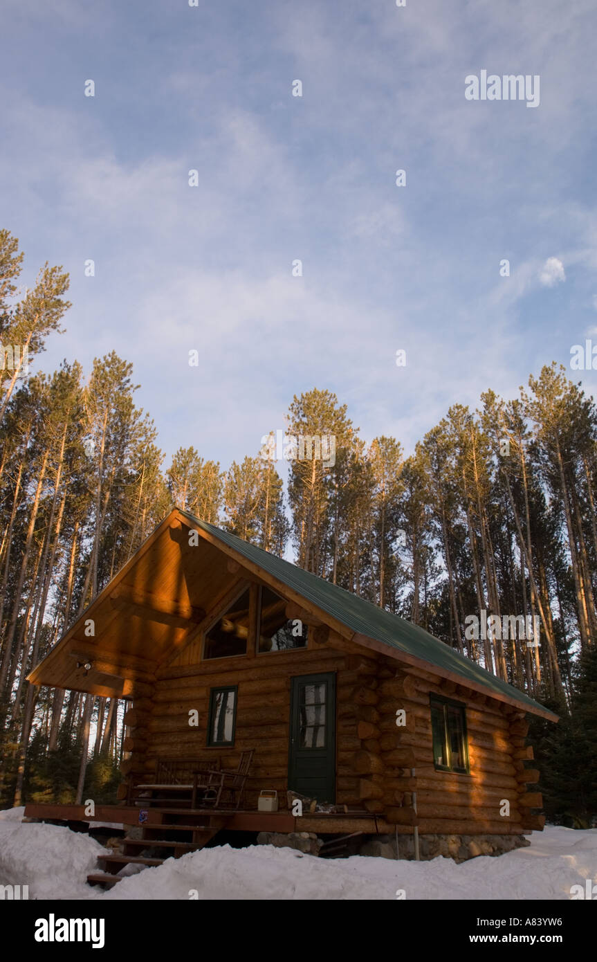 Log Cabin Sits In Red Pine Forest Stock Photo 6845397 Alamy