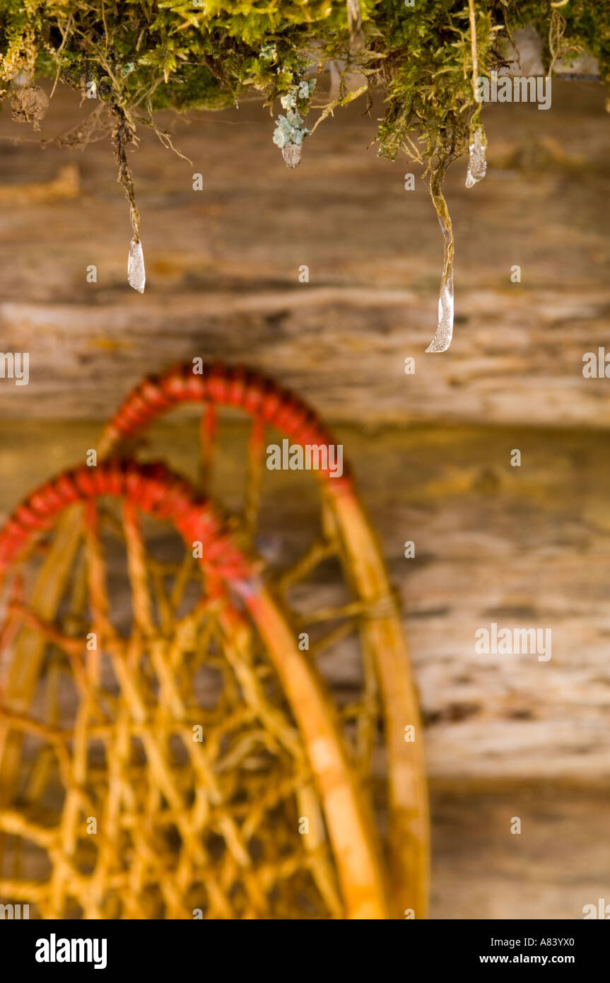 Wood snowshoes lean against a log cabin with icicles hanging from a
