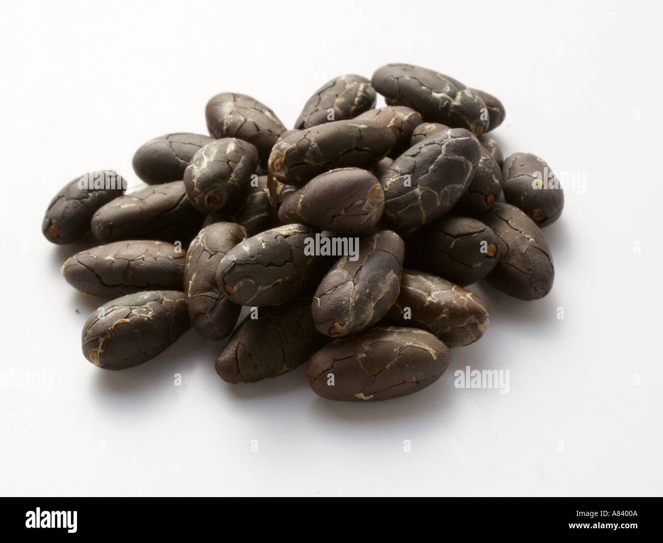 Dried Black Beans Stock Photo Alamy