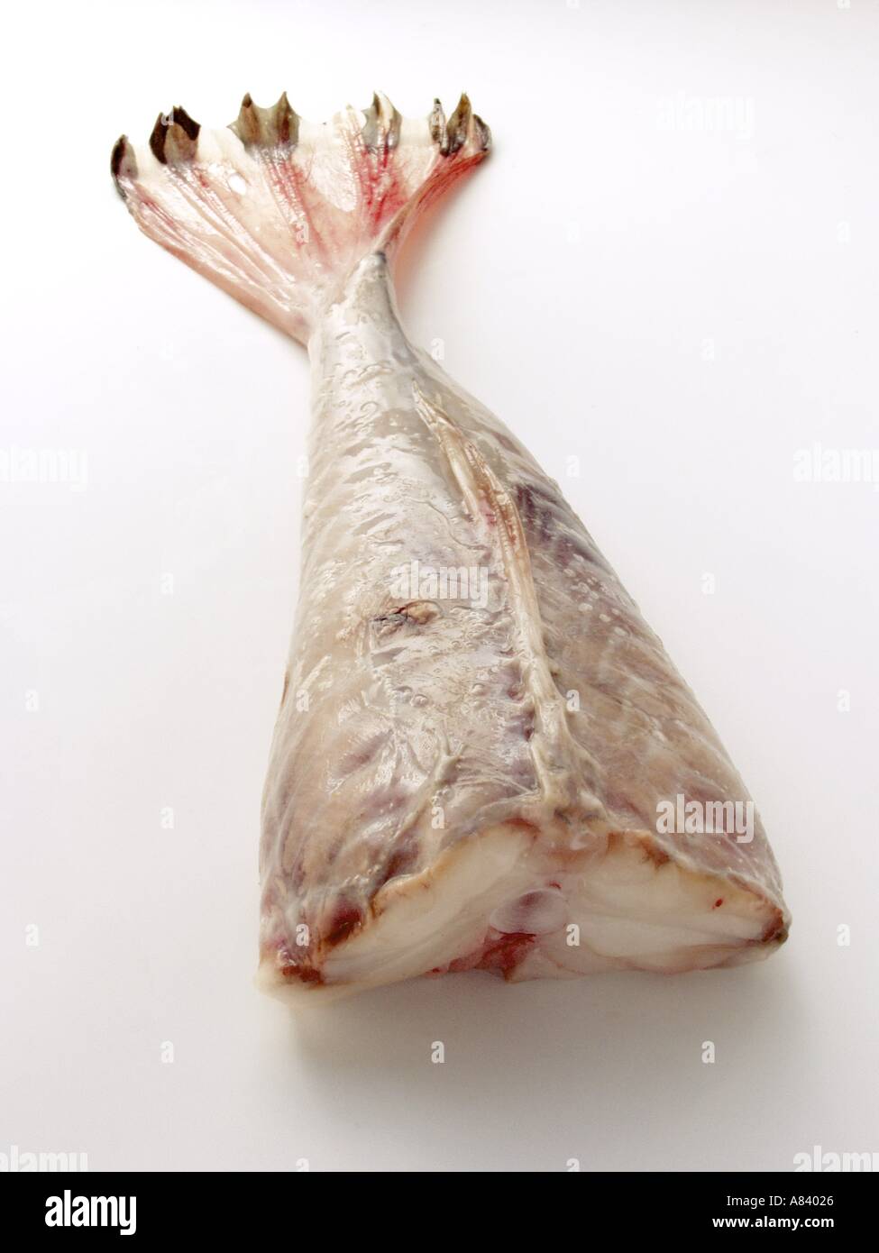 Monkfish with Head Removed Stock Photo