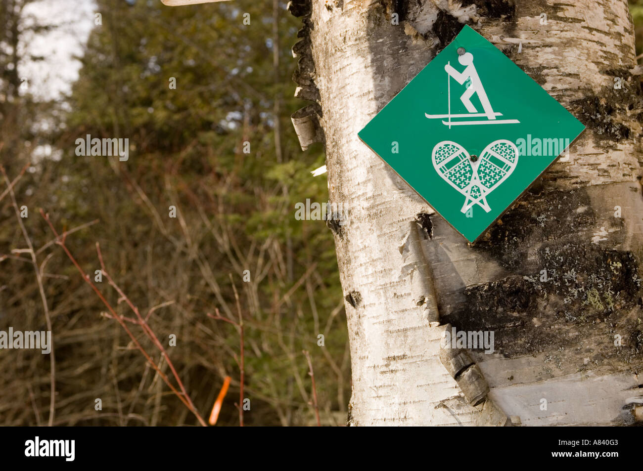 Cross country ski and snowshoe trail marker Snowshoe Country Lodge
