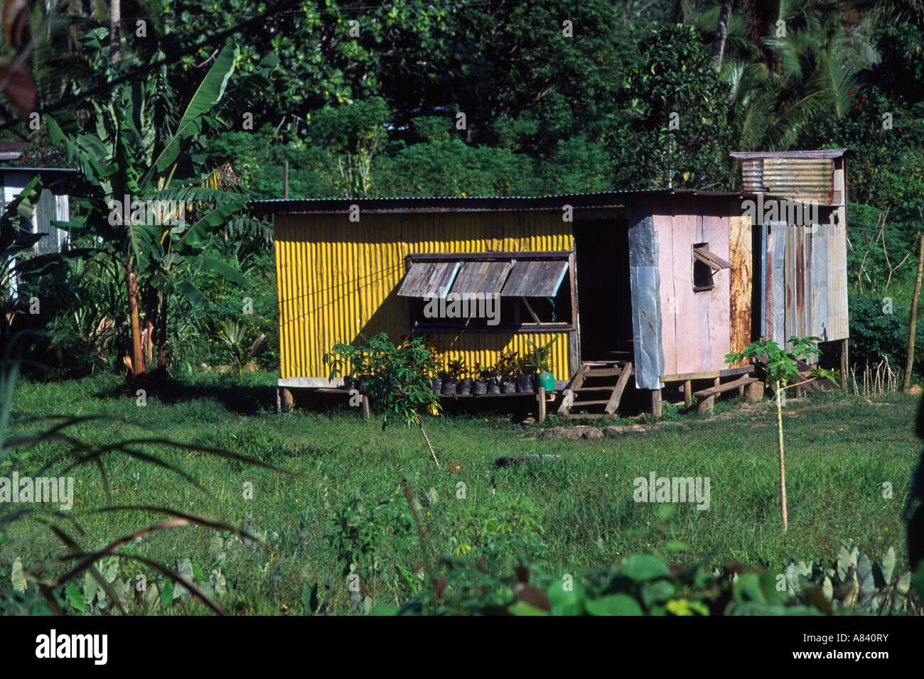 A beautiful Tin house in Fiji Stock Photo Alamy