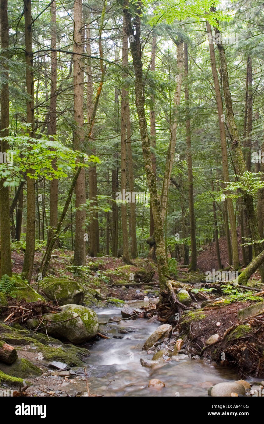 Small stream near Fairlee Vermont USA Stock Photo