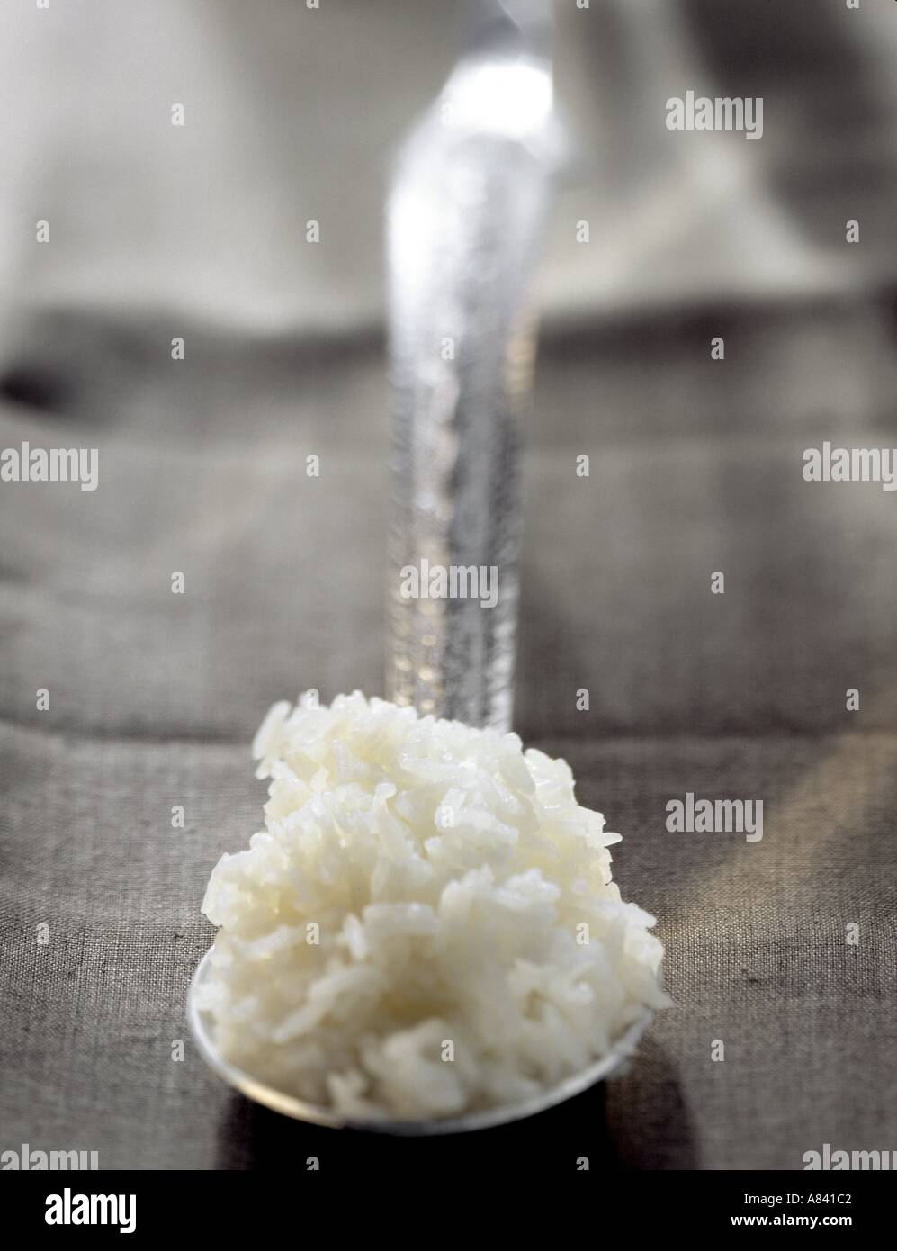 A Spoonful of Cooked White Rice Stock Photo Alamy