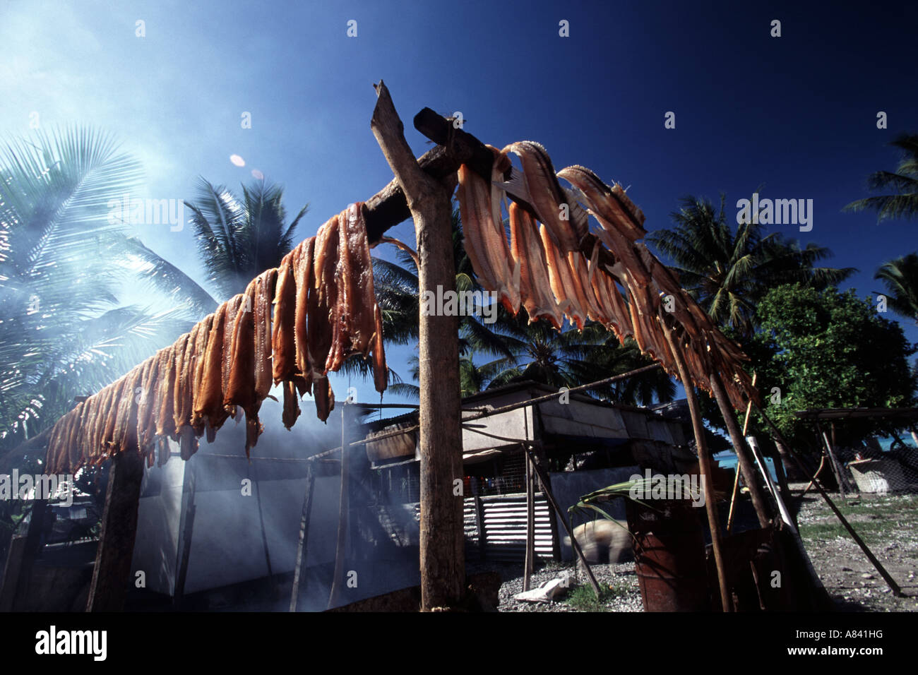 Smoking!! Sun dried smoked fish Stock Photo Alamy