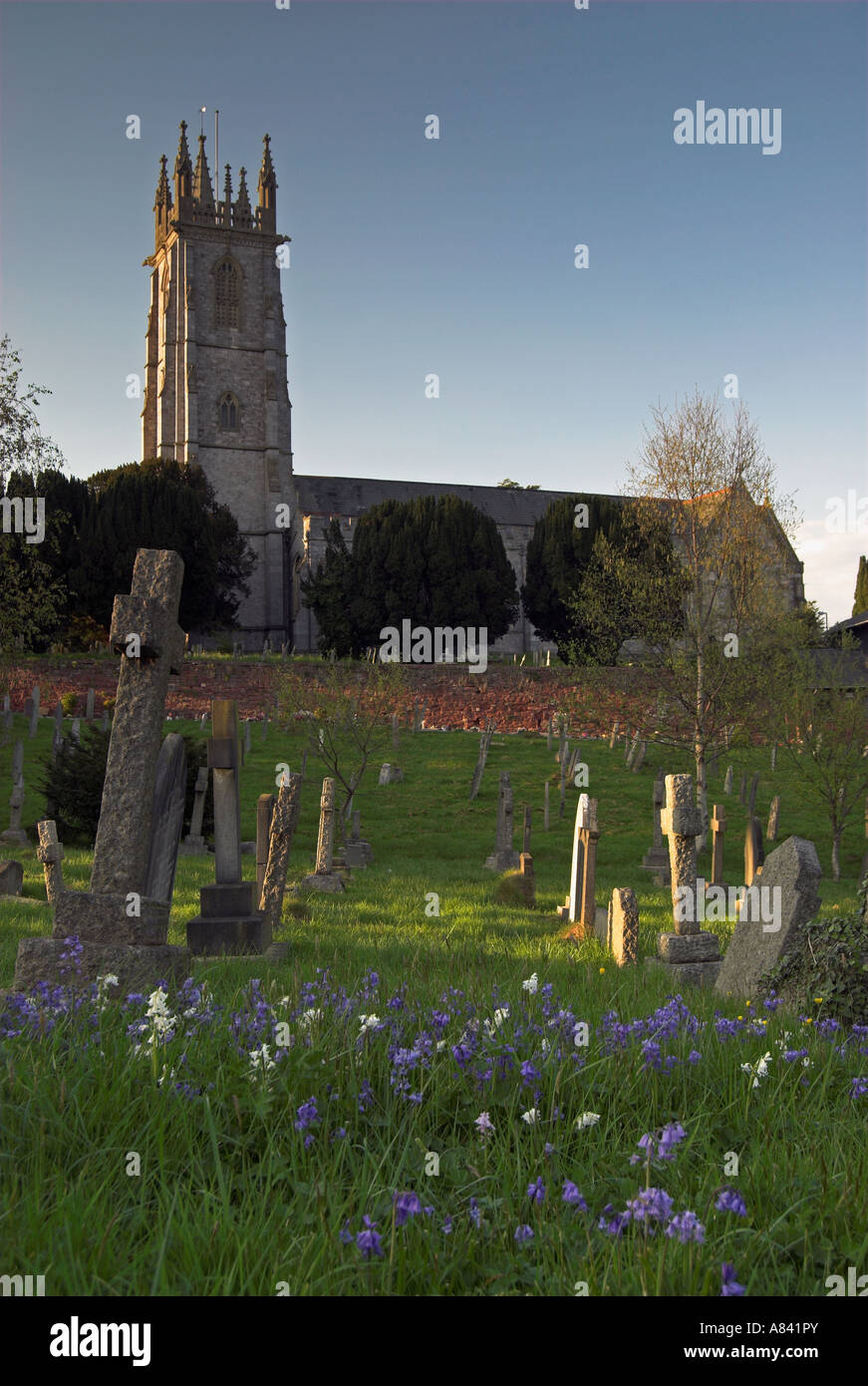 St Michael's Church, Exeter, at dusk with bluebells Stock Photo Alamy