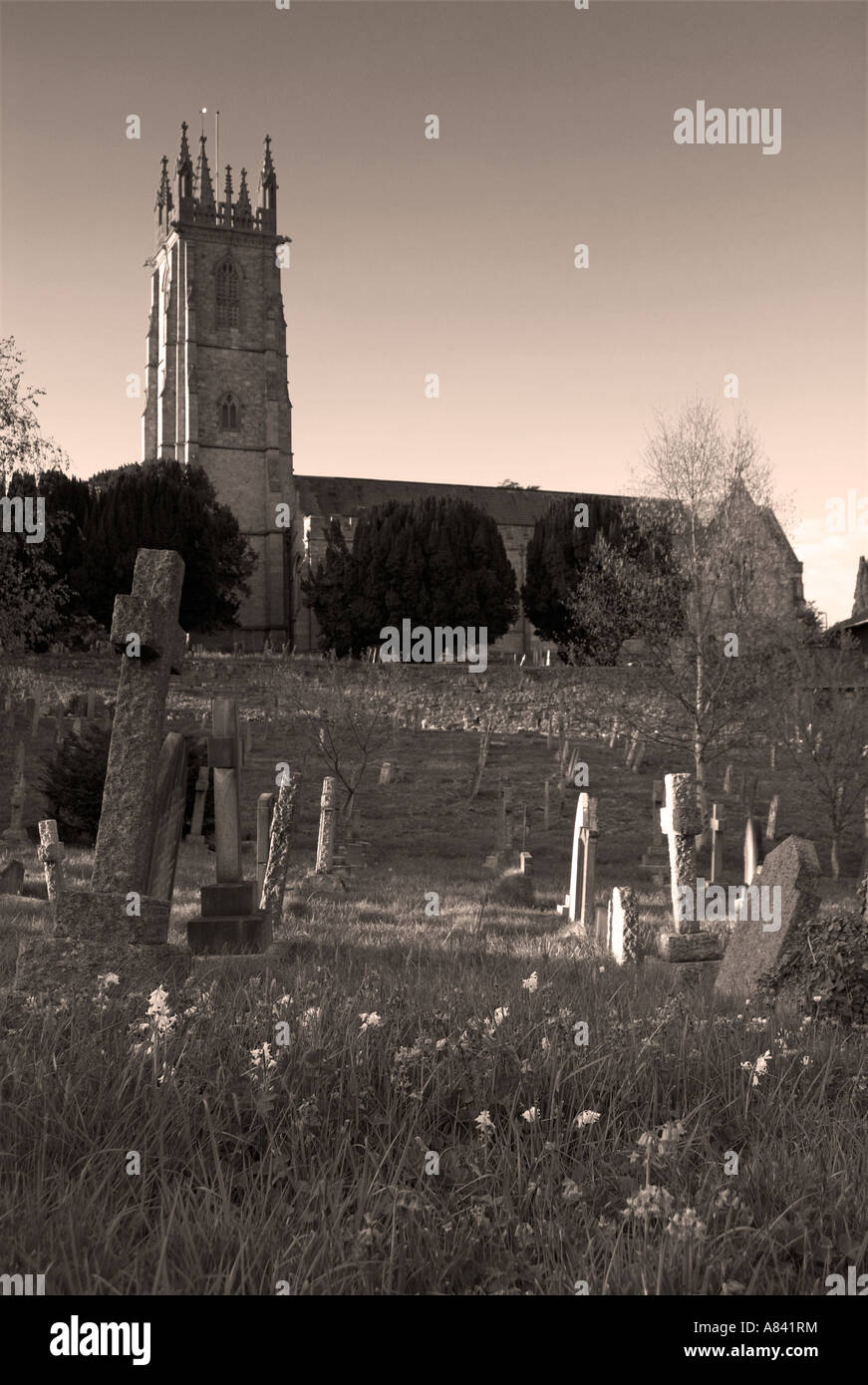 St Michael's Church, Exeter, at dusk Stock Photo Alamy