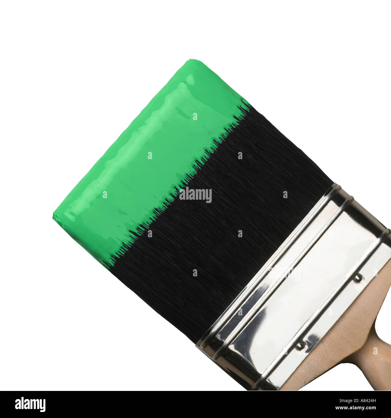 PAINT BRUSH WITH GREEN PAINT ON BRISTLES Stock Photo - Alamy