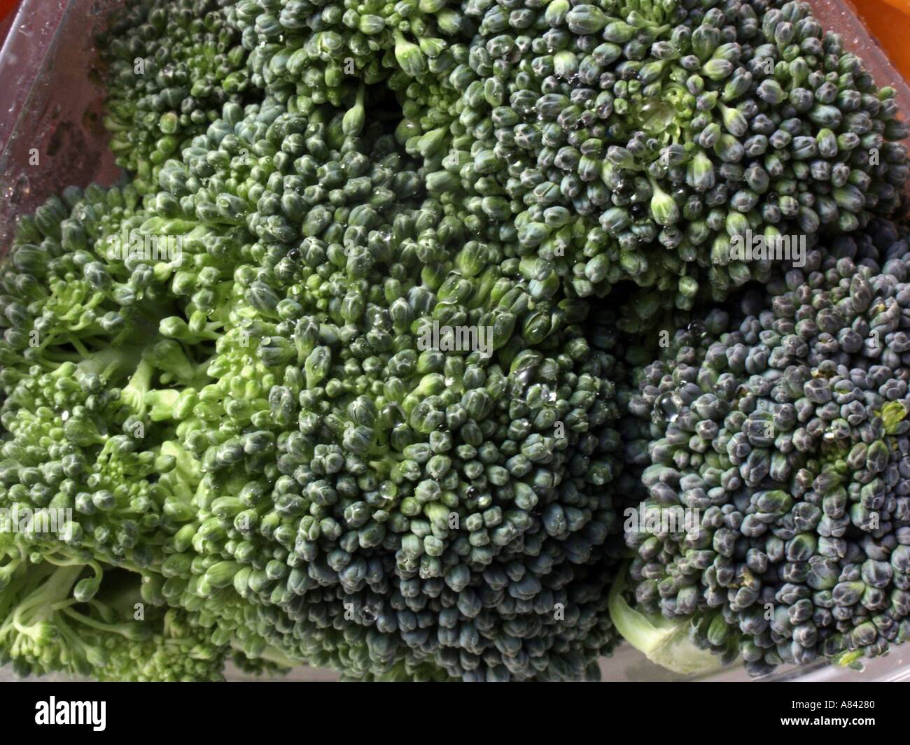 Find fresh broccolini near me with our essential guide to health benefits, cooking methods, and buying tips.